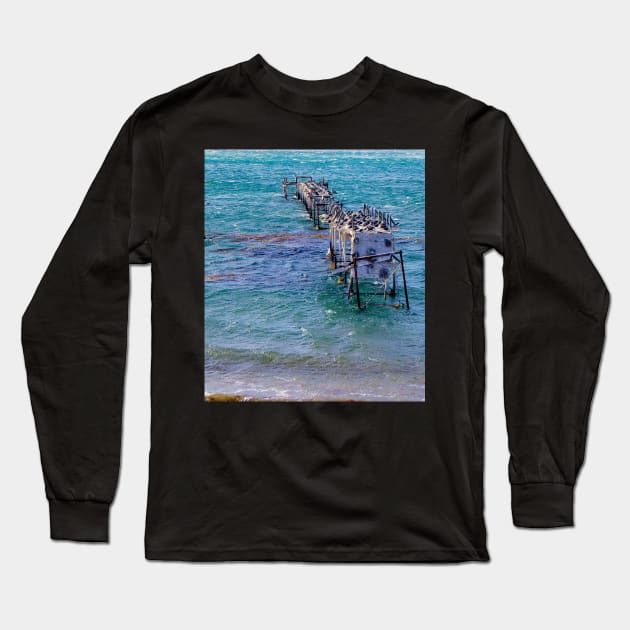 lli days gone bye Long Sleeve T-Shirt by pcfyi